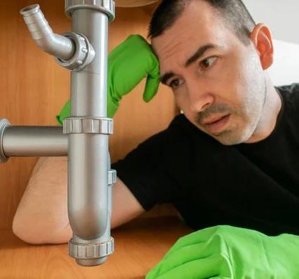 The Difference Between DIY and Professional Plumbing Repairs