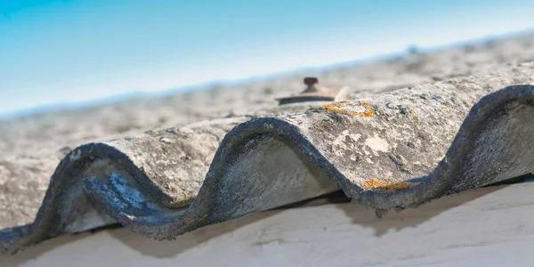 Skilled Technicians Delivering Precise Asbestos Testing Services