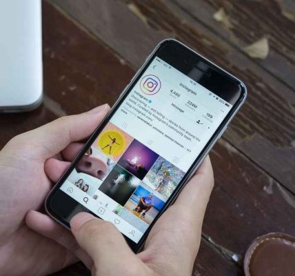 Fake Security Features in Instagram Private Viewer Tools