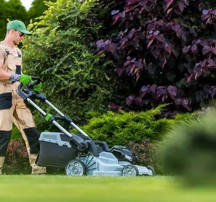 Affordable Lawn Care Service Near You