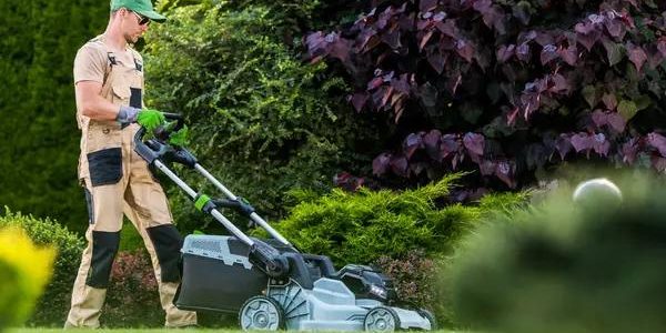 Affordable Lawn Care Service Near You