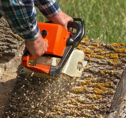 Eco-Friendly Tree Removal Service Solutions