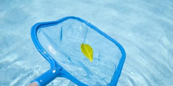 Southern California Pools Designed for Luxury Backyard Living