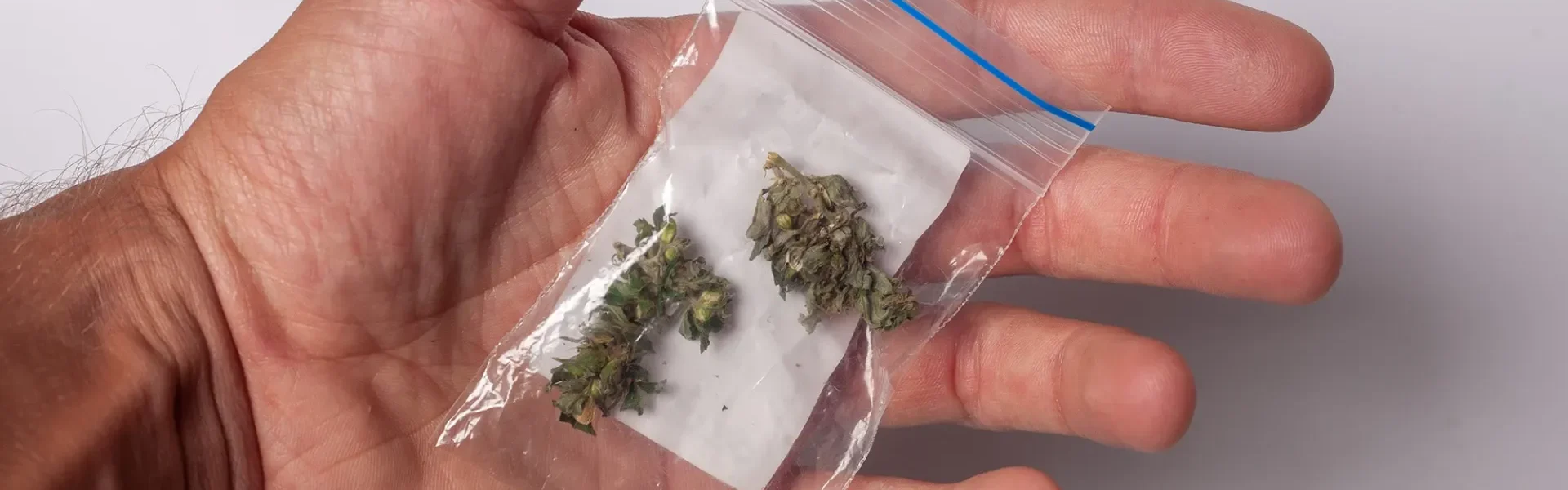 Everything to Know About Wiet Kopen Gent Before Choosing Cannabis