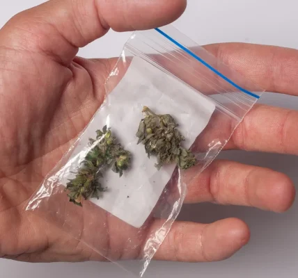 Everything to Know About Wiet Kopen Gent Before Choosing Cannabis