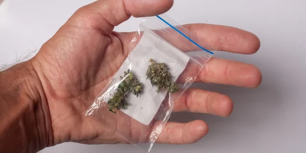 Everything to Know About Wiet Kopen Gent Before Choosing Cannabis
