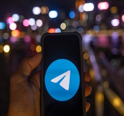 Telegram Channel Members to Build a Loyal Audience