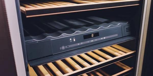 Best Wine Coolers for Small Spaces and Apartments